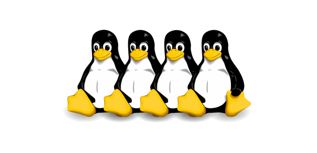 čtyři tučňáci - linux logo