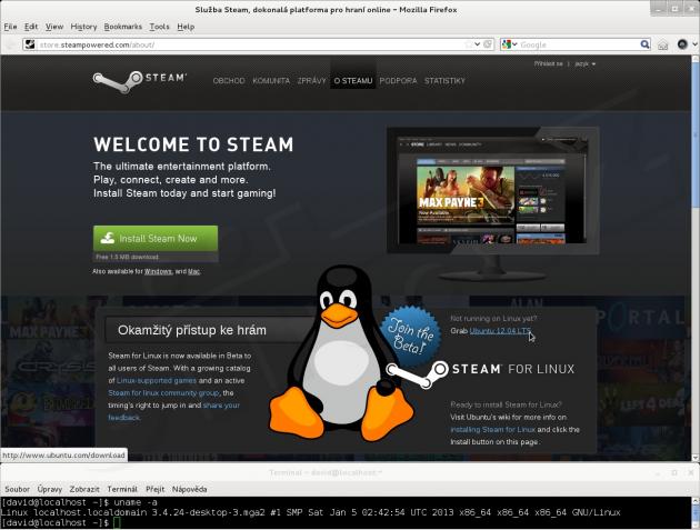 Steam Linux About