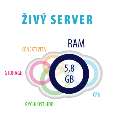zivy-server