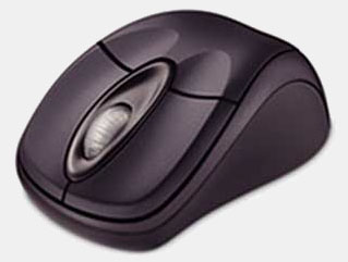 Microsoft Wireless Notebook Optical Mouse USB