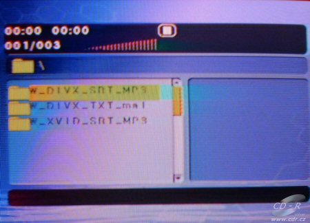 HaB DX-3220 - DivX menu