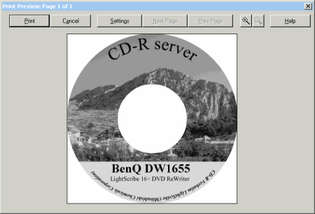 BenQ DW1655 - SureThing LightScribe náhled tisku