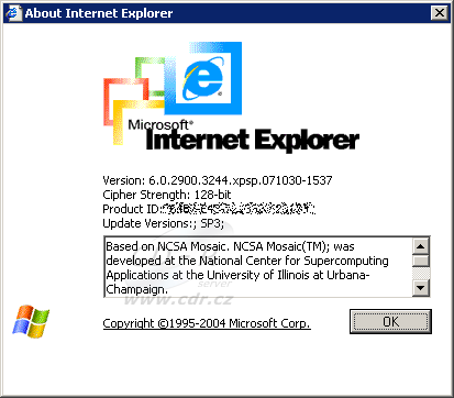 Internet Explorer 6 SP3 (RC1 build 3244)