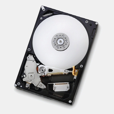 Hitachi Deskstar 7K1000.B