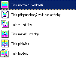 Typ tisku