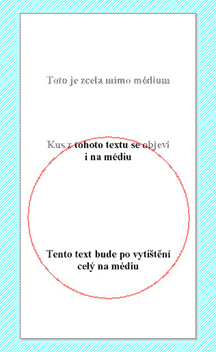 Náhled před potiskem na CD