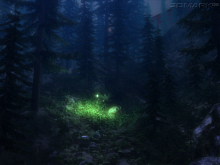 Firefly Forest - obrázek 3