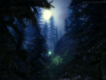 Firefly Forest - obrázek 4