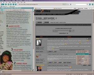 Netscape Navigator 9: Mini Browser