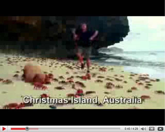 YouTube - Low Quality