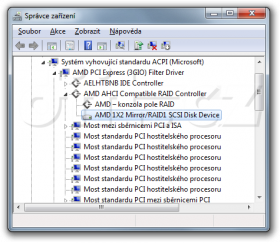 AMD AHCI Compatible RAID Controller - RAID 1 (Mirror)