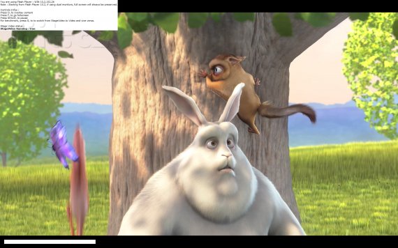 Adobe Flash Player 10.2 - využití Stage Video (Big Buck Bunny)