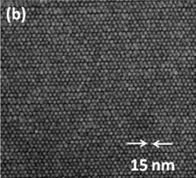 Snímek z elektronového mikroskopu: bity na magnetickém médiu, hustota 3,3 Tbit/palec² Tbit/palec²