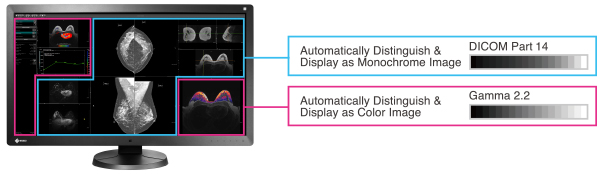 EIZO RadiForce RX850 06