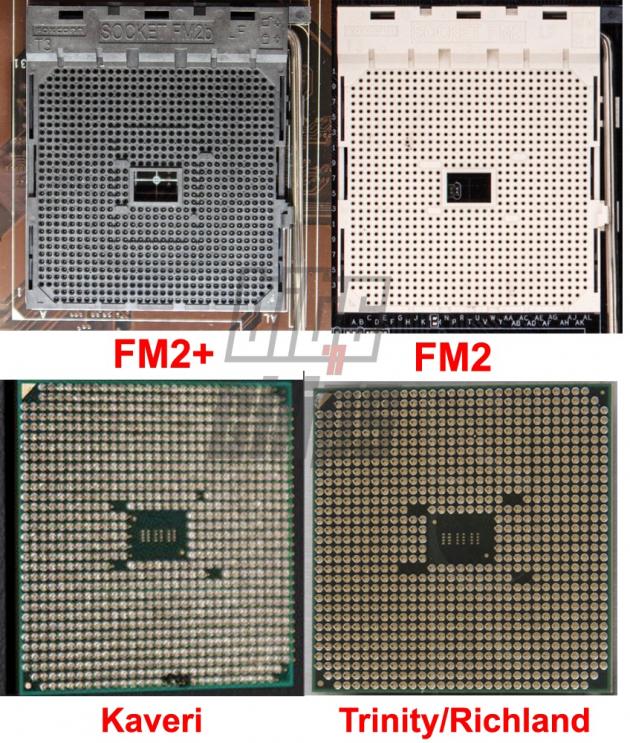 AMD Kaveri socket FM2+ socket FM2