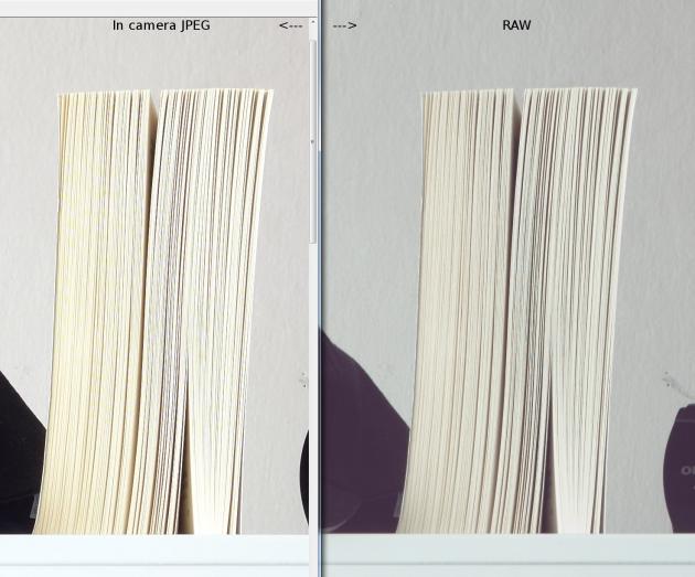 Panasonic LX7: srovnání aliasingu RAW a JPEG