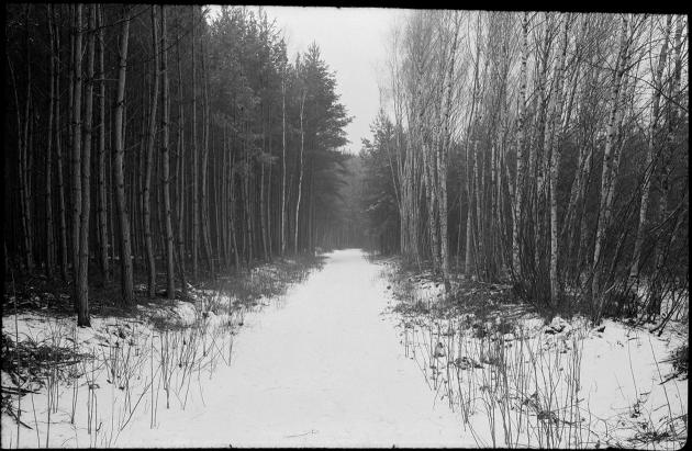 Les (Moskva 5, Fomapan 100)