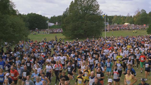 Crowd Run 2160p UHD CRF22 x264-CtrlHD.mkv.snapshot