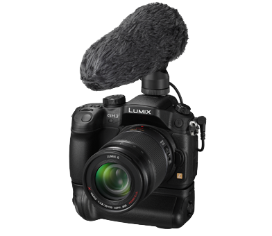 Panasonic Lumix GH3 jezevec