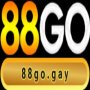 Obrázek uživatele 88gogay