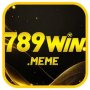 Obrázek uživatele winmeme789