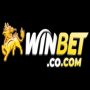Obrázek uživatele winbetboutique