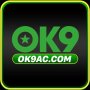 Obrázek uživatele ok9accom