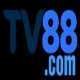 Obrázek uživatele ntv88com