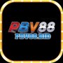Obrázek uživatele Pbv88bid
