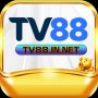 Obrázek uživatele tv88innet