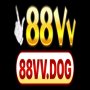 Obrázek uživatele 88vvdog