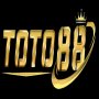 Obrázek uživatele toto88comco