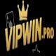 Obrázek uživatele vipwinpro1