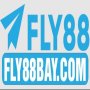 Obrázek uživatele fly88baycom