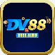 Obrázek uživatele dv88guru