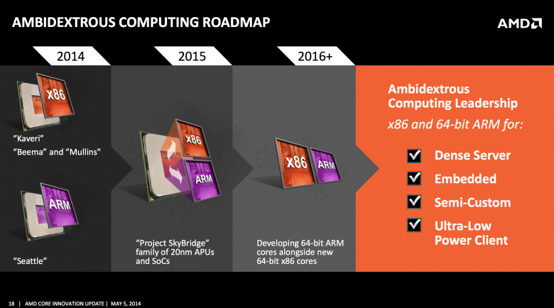 Amd Skybridge K 12 01