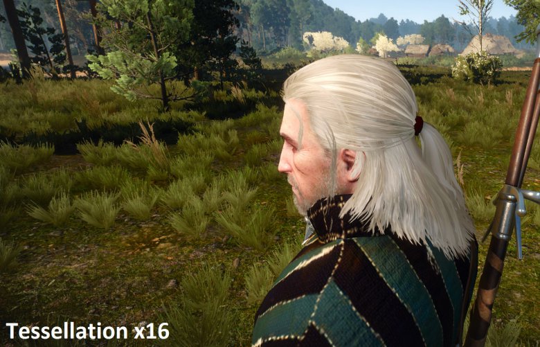 Witcher 3 X 16