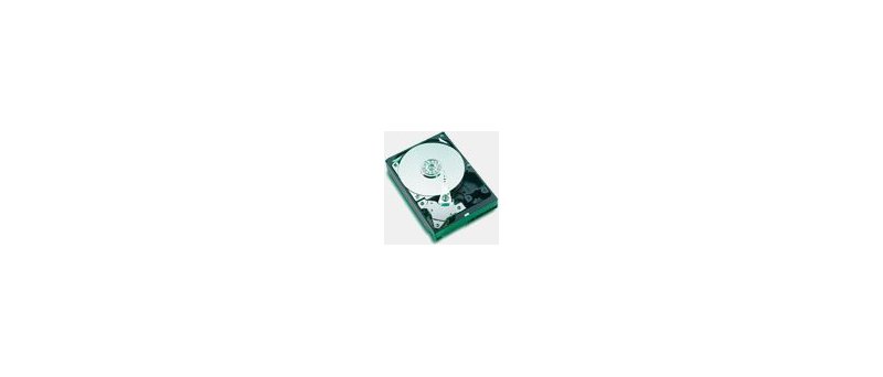 400GB Western Digital Caviar RE2