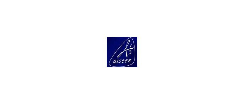 AIseek logo