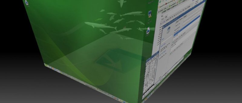 openSUSE 10.3, Compiz Fusion