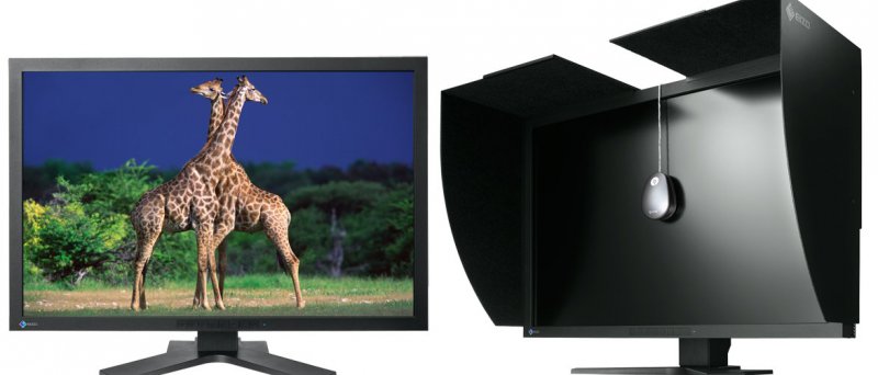 EIZO ColorEdge CG303W