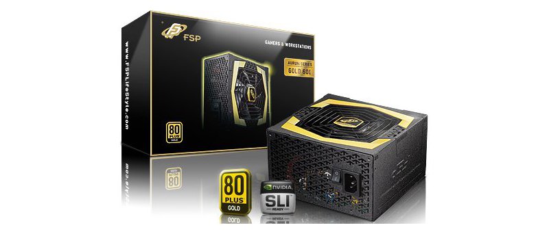 Fortron Aurum 600W