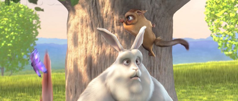 Adobe Flash Player 10.2 - využití Stage Video (Big Buck Bunny)