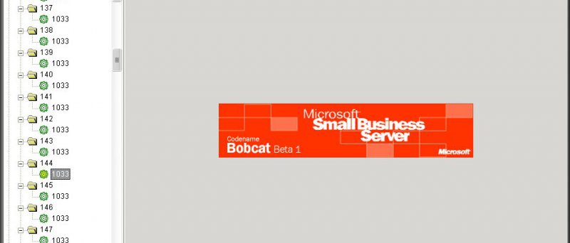 Microsoft Bobcat