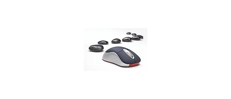 Microsoft Wireless Optical Mouse Special Edition Black