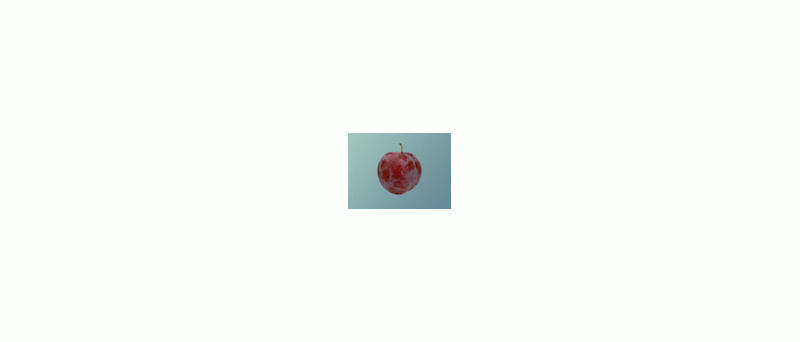 ringle