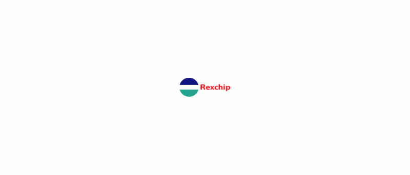 Rexchip logo