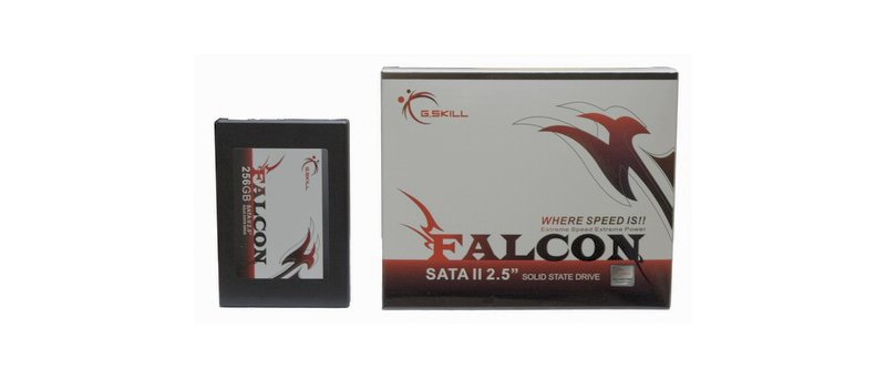 G.Skil 256GB SSD Falcon