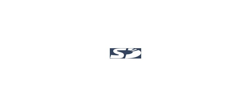 SD card logo