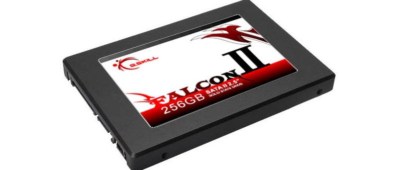 Gskill 256GB SSD FalconII